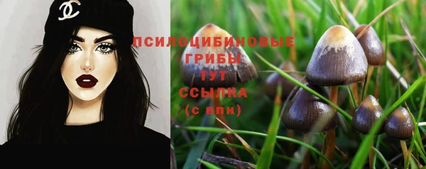 мдпв Мегион
