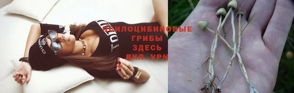 мдпв Мегион