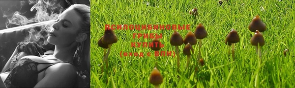 метадон Медвежьегорск